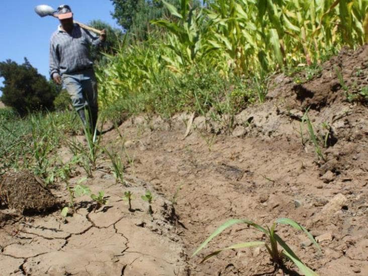 Pierde agua del Edén su abolengo