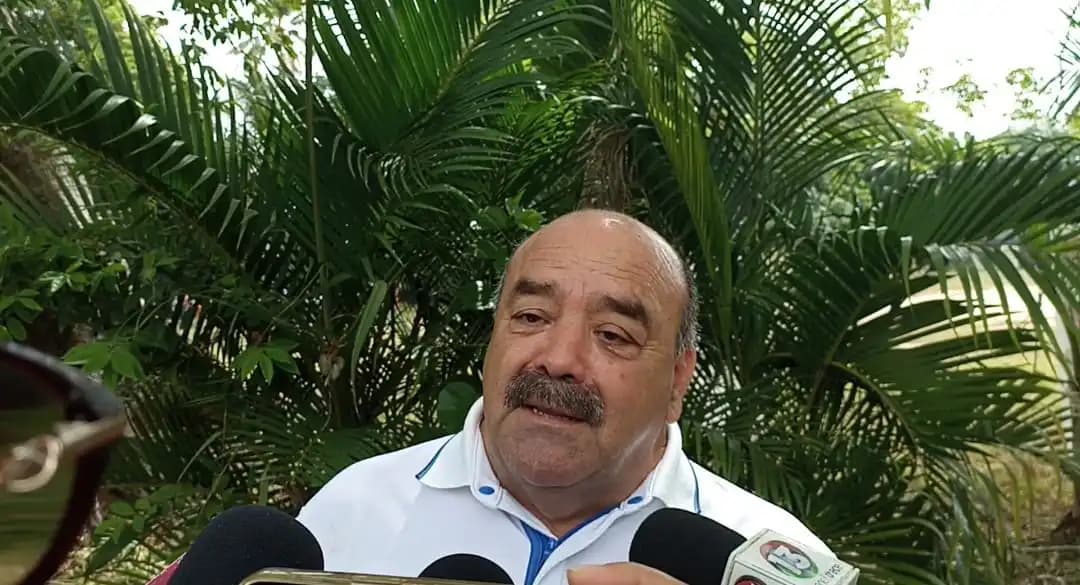 De 7 mil a 15 mil hectáreas perdidas por incendios, estima Conafor