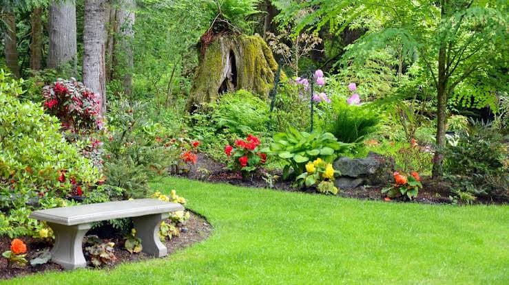 Cómo crear un jardín seguro para niños; consejos de un experto