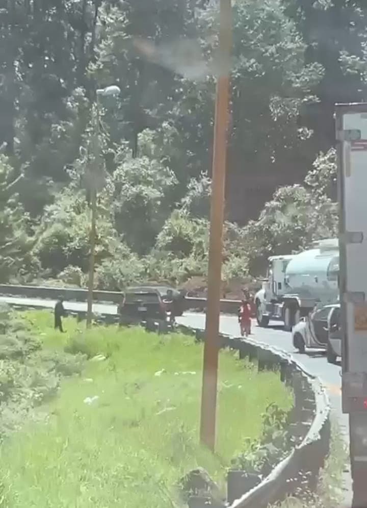Asaltan a activista en carretera Veracruz - Puebla