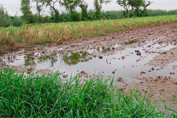 Pagan más de 45 mdp del seguro catastrófico