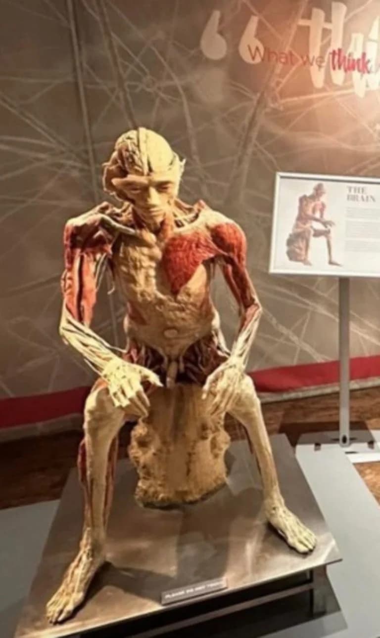 Sospecha madre que cadáver en exhibición es su hijo