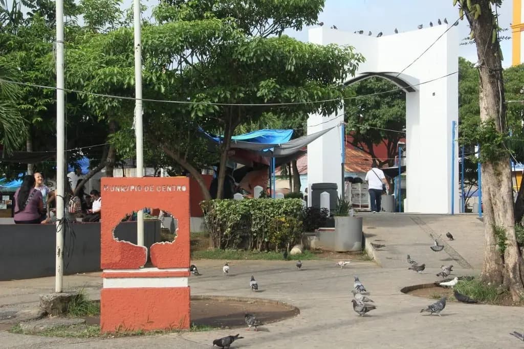 Planean convertir al Centro en 'jardín urbano'