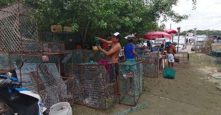 Mal tiempo afecta a pescadores de Islas Mujeres