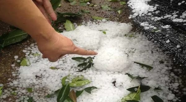 Granizo causa afectaciones en China