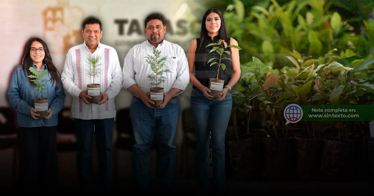 Prometen reforestar 2,500 hectáreas de Tabasco con 2.5 millones de plantas