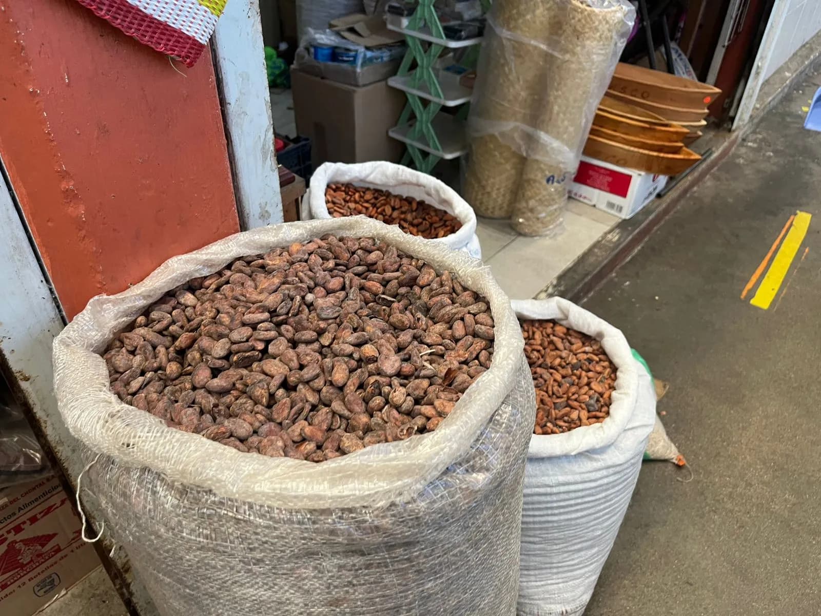 En marzo comenzaría a escasear el cacao: productores