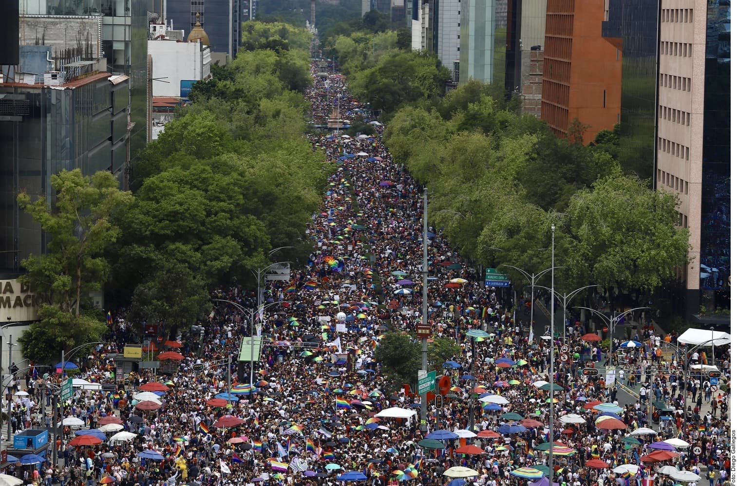 Un orgullo, diversidad de reclamos