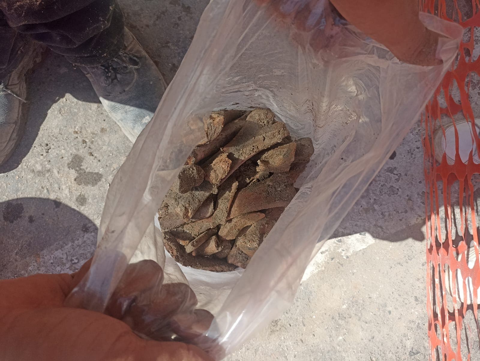 Vestigios de animales y cerámica en obras del Centro Histórico