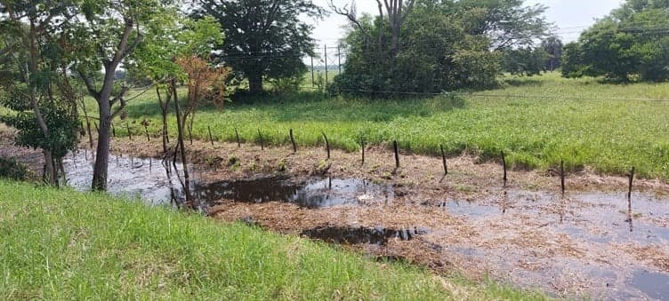 En riesgo, 200 comunidades por creciente del Usumacinta