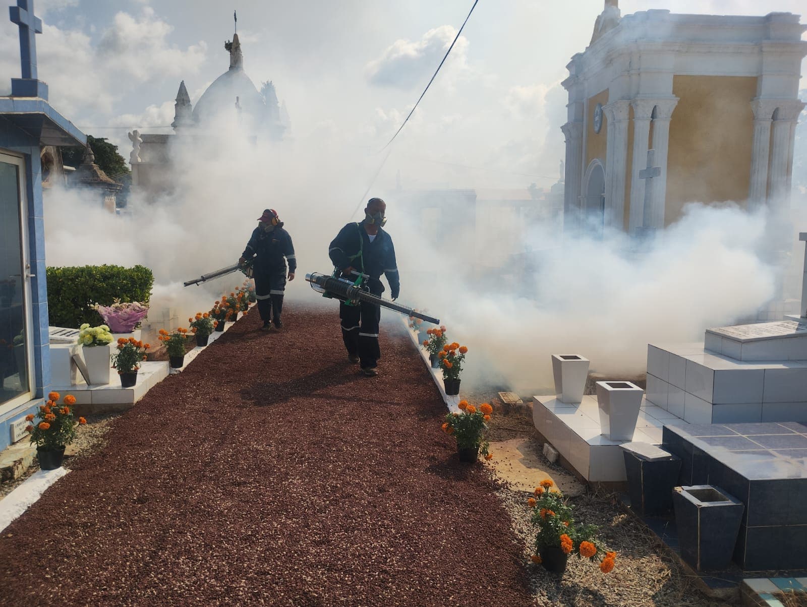 Blindan panteones de Centro contra el dengue