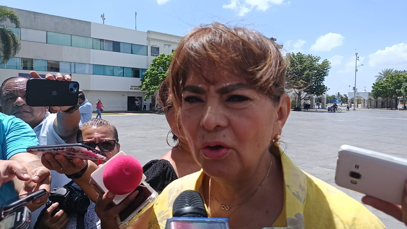 Van 25 feminicidios en el año en Tabasco: Nelly Vargas