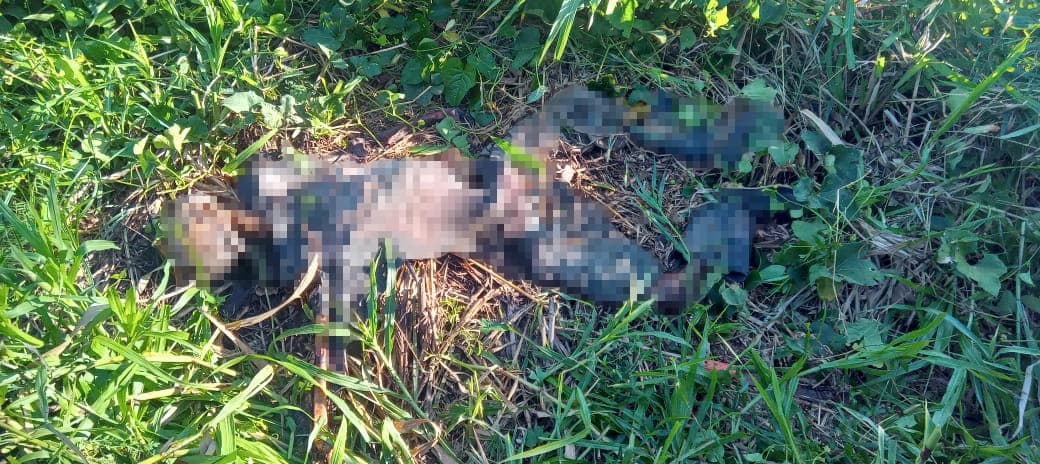 Reportan presunto hallazgo de restos de hombre desaparecido en Cunduacán