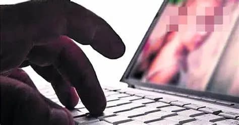 Desmantelan red de pornografía infantil