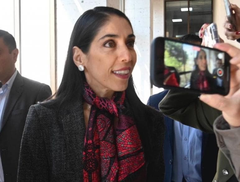 Renuncia a Fiscalía de Veracruz, Verónica Hernández Giadiáns