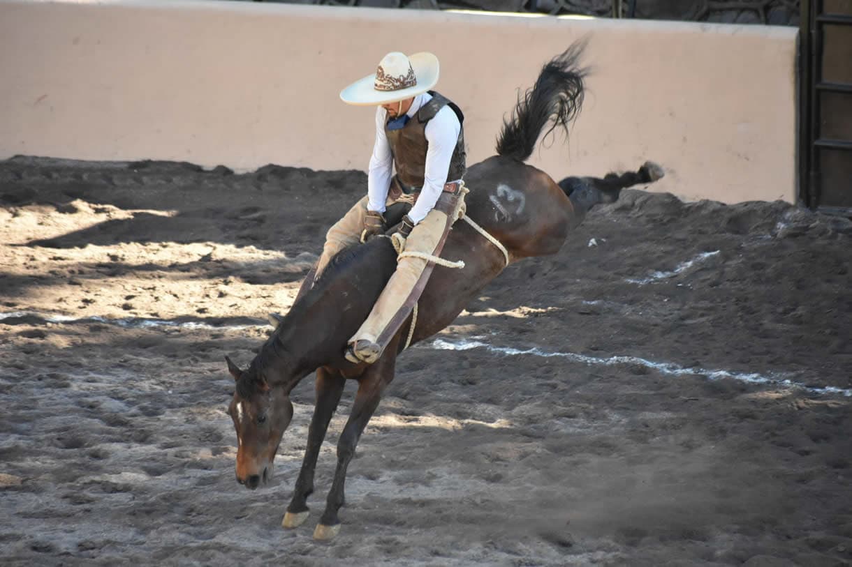 Buscan que el 11 de julio sea el “Día Estatal del Caballo” en Tabasco